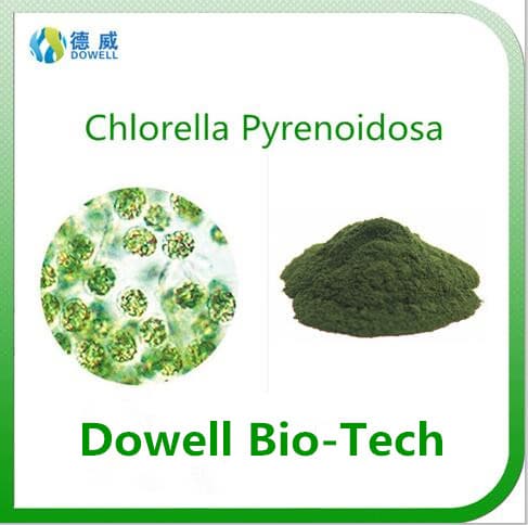 High quality and Natural Beauty Powder Chlorella Pyrenoidosa